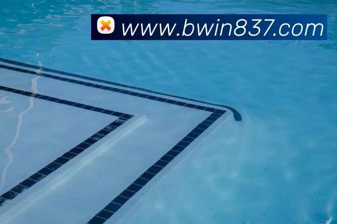 bwin必赢APP 封面图